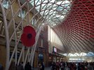 20221104_104050.jpg