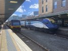 IMG_7300.jpeg