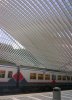 Liège station roof.jpg