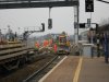 DSCN8778.jpg