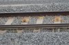 trackside2.jpg