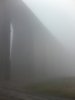 Fog 5.jpg
