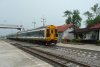 P1050751a.jpg