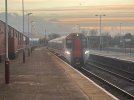 IMG_2175.jpeg