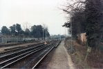 BJ-Branksome shed site 1986.jpg