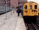 501s WFJ 170 & 160 110585.jpg