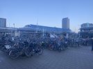 E416598E-1306-4EEB-A22C-1CF6F4C3B859.jpeg