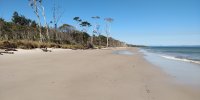 IMG_20221111_144140.jpg