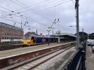 IMG_1662.jpeg
