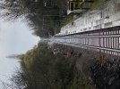 IMG_5895.jpeg