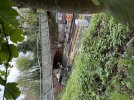 IMG_6367.jpeg