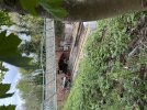 IMG_6374.jpeg