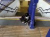 20130511_065102.jpg