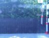 IMG00265-20130606-0930 (2)b.jpg