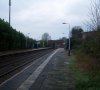 100_4338.jpg