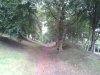 2013-07-15 20.29.50.jpg