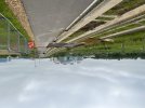 IMG_3839.jpeg