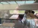 IMG_0856.jpeg