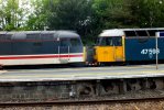 DSCF5590.JPG