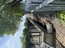 IMG_6562.jpeg
