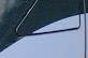 1685465278927.png