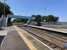 IMG_5050.jpeg