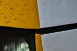 1686909976063.png