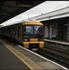 IMG_4354.jpeg