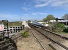 IMG_0500.jpeg