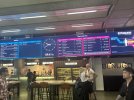 IMG_0142.jpeg