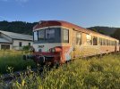31032BEF-73DA-442E-B1CB-8407CE1E6F7E.jpeg