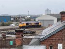 IMG_4352.jpeg