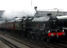 DSCF8113.JPG