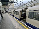 IMG_6529.jpeg