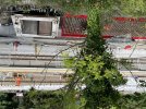 IMG_7092.jpeg