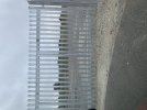 IMG_7359.jpeg