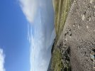 IMG_2555.jpeg