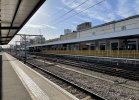 IMG_7585.jpeg