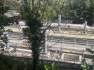 IMG_7564.JPEG