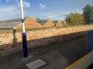 IMG_6731.jpeg