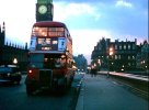 IMG_1025.jpg