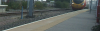 Trythisonforsize.png