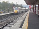 IMG_6771.jpeg