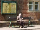 Waiting_Bluebell.JPG