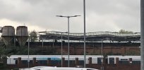 IMG_5526.jpeg