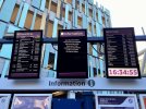 IMG_3185.jpeg