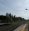 IMG_3539.jpeg