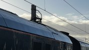IMG_8038.jpeg