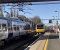 IMG_4203.jpeg