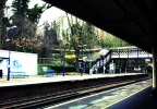 Sydenham Hill 4.png